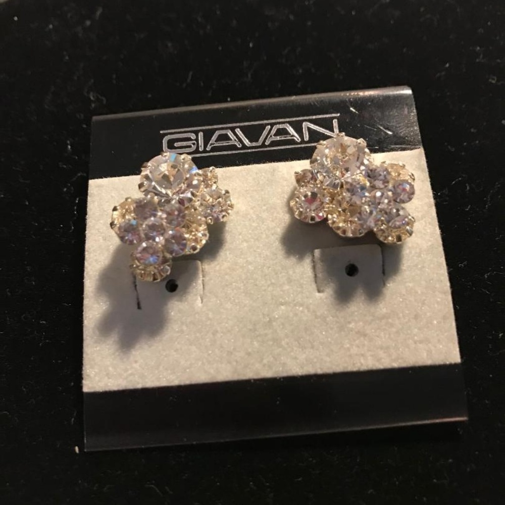 GIAVAN EARRINGS - Picture 3 of 6